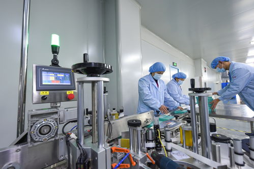 衡水新聞網(wǎng) 石家莊技術(shù)服務(wù)與技術(shù)開發(fā)新動向探析